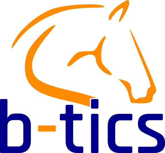 Logo B-TICS